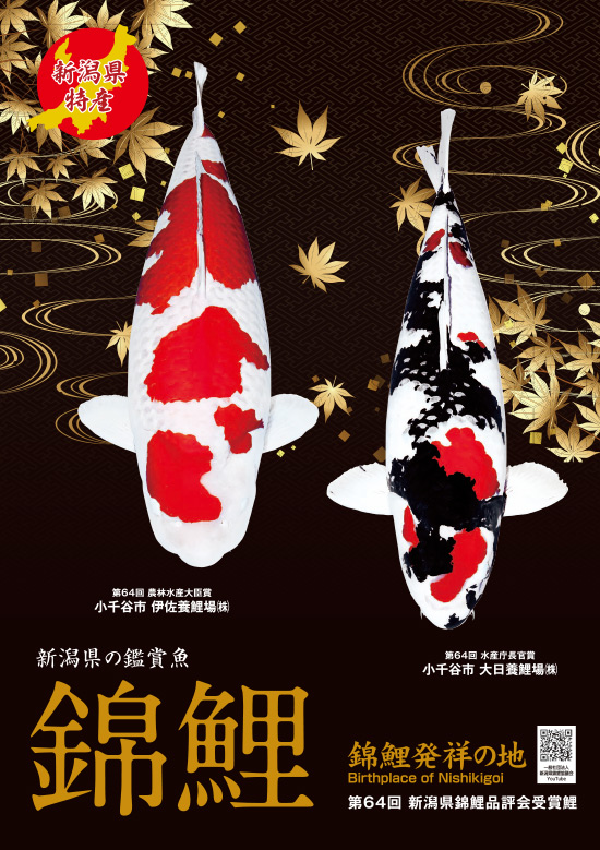 一般社団法人 新潟錦鯉協議会